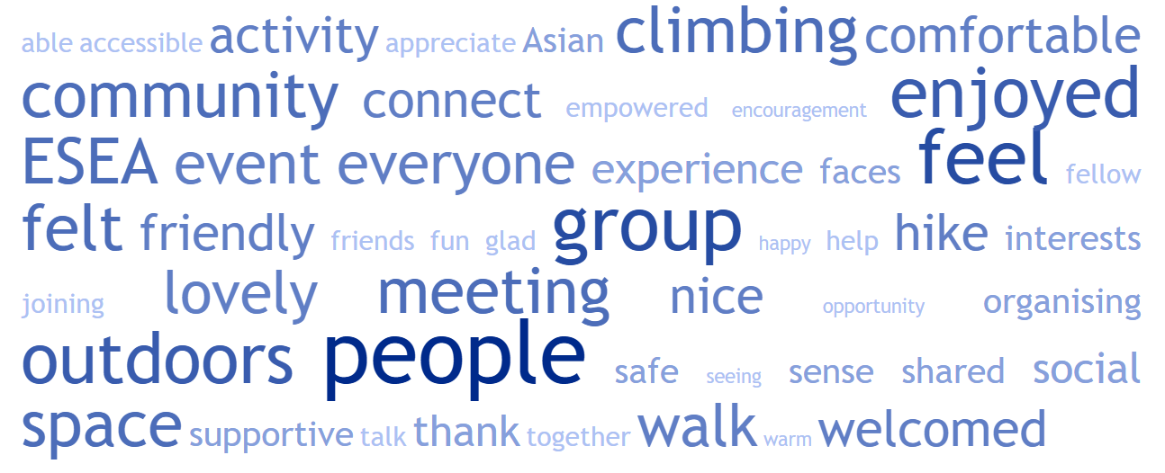 2025 feedback wordcloud